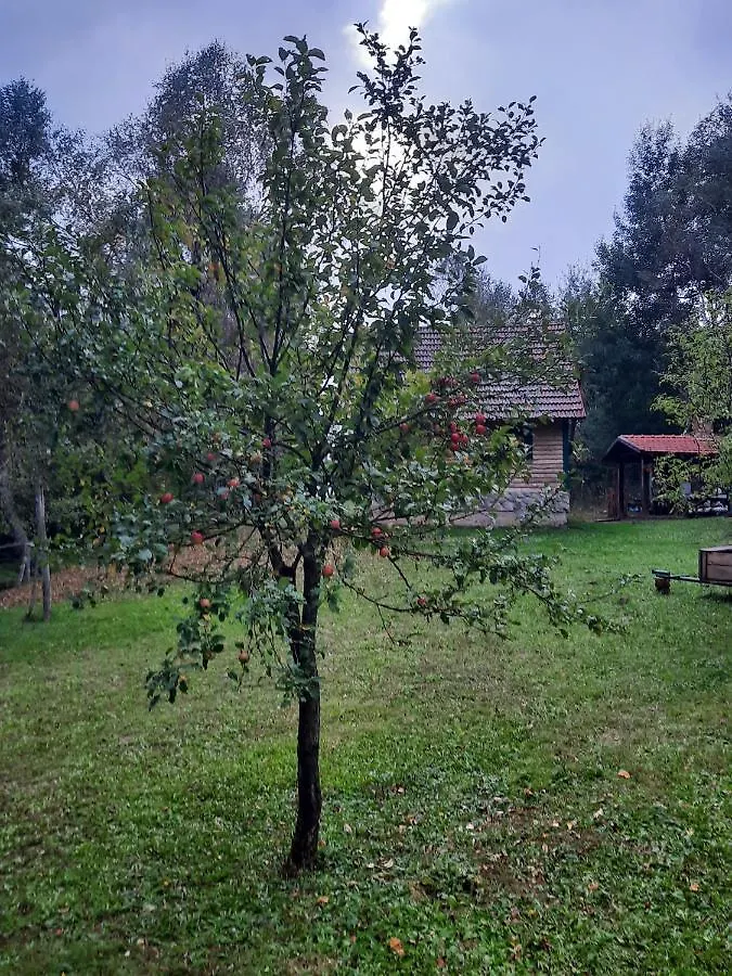 Robinzonski Smjestaj 